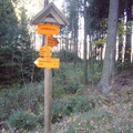 Následující fotka