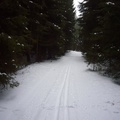 Svážnice nad Chotčinami
